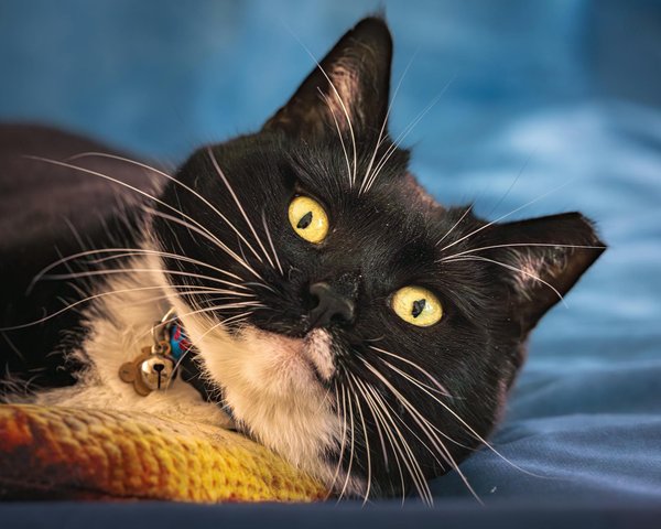 The Impact of Recent Developments for Sustainable Growth